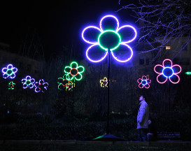 פסטיבל האור בירושלים, אטרקציות לילדים, פעילות לילדים, פעילות לכל המשפחה